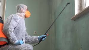 Best Basement Mold Removal  in Iola, WI