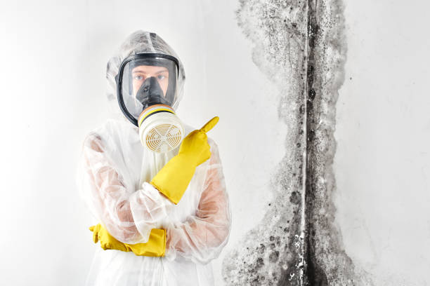 Best Industrial Mold Remediation  in Iola, WI