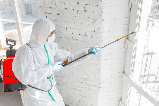 Best Commercial Mold Inspection  in Iola, WI