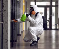 Best Comprehensive Air Testing for Mold Contaminants  in Iola, WI